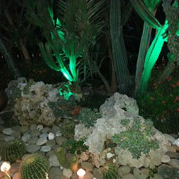 ���� Alyonouchka..., ����� - ��������� 27 ���� 2014