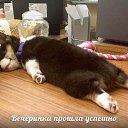 ���� �_�_�_�_�, ������-��-����, 43 ���� - ��������� 15 ��� 2014 � ������ ������ ��������