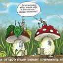 ���� ����, �������, 55 ��� - ��������� 30 ������ 2014 � ������ ���� ���� ������