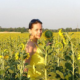 , --, 51 