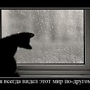 ���� �����, ����� - ��������� 6 ��� 2014 � ������ ������ ��������