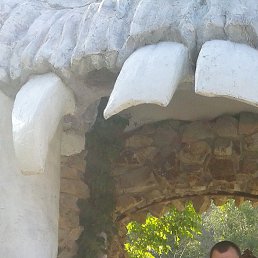 �����, ���������, 39 ���