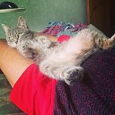 ���� Vov Lucky, ������, 41 ��� - ��������� 6 ������ 2014 � ������ ������ ��������