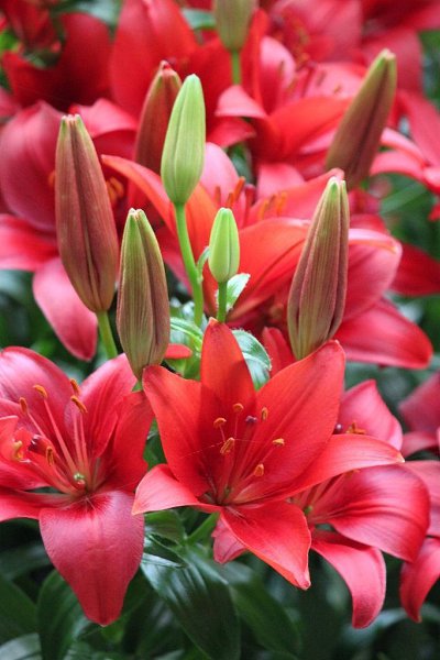 Не делай больно никому, Не заставляй людей страдать. Пошлет спасенье Бог тому, Кто сможет все душой ... - 7