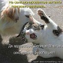 ���� ������, �������, 37 ��� - ��������� 1 ������� 2014 � ������ ���� ����������