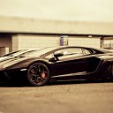 ���� �����, ������ - ��������� 29 ���� 2014 � ������ ������ ��������