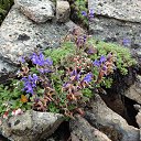 ���� ������, ����������, 66 ��� - ��������� 18 ������� 2014 � ������ ������ ��������