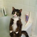 ���� Antonida, ����� - ��������� 2 ���� 2014 � ������ ������ ��������