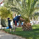 ���� ������, ����� �������, 51 ��� - ��������� 31 ���� 2014 � ������ ���� ����������