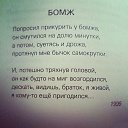 ���� ������, ������, 49 ��� - ��������� 28 ��� 2014 � ������ ������ ��������