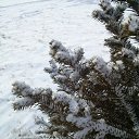 ���� ���������, ���������, 38 ��� - ��������� 25 ������ 2014 � ������ ����������