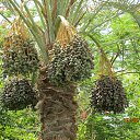 ���� ����������, ������, 58 ��� - ��������� 29 ���� 2014 � ������ ���