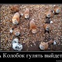 ���� ��, ������������ - ��������� 30 ������ 2014 � ������ ������ ��������