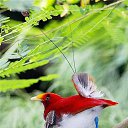 ���� ==Elena==, ������� - ��������� 18 ��� 2014 � ������ ���� ����������