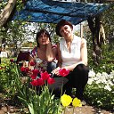 ���� ����, ������ ��� - ��������� 4 ��� 2014 � ������ ���� ����������