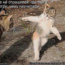 ���� ��������� ������������, ������ �������� - ��������� 27 ���� 2014 � ������ �������