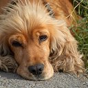 ���� ���������, ������-��-����, 55 ��� - ��������� 26 ����� 2014 � ������ ������ ��������