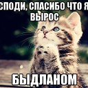 ���� �����, ���, 56 ��� - ��������� 23 ������ 2014 � ������ ������ ��������