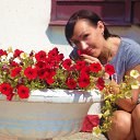 ���� ������, ����� - ��������� 1 ���� 2014 � ������ �.�