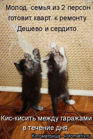/zev/null - 11  2014  16:15