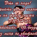 ���� �������, ������, 42 ���� - ��������� 5 ���� 2014 � ������ ���� ����������