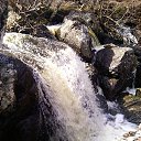  Serena, , 35  -  12  2014    