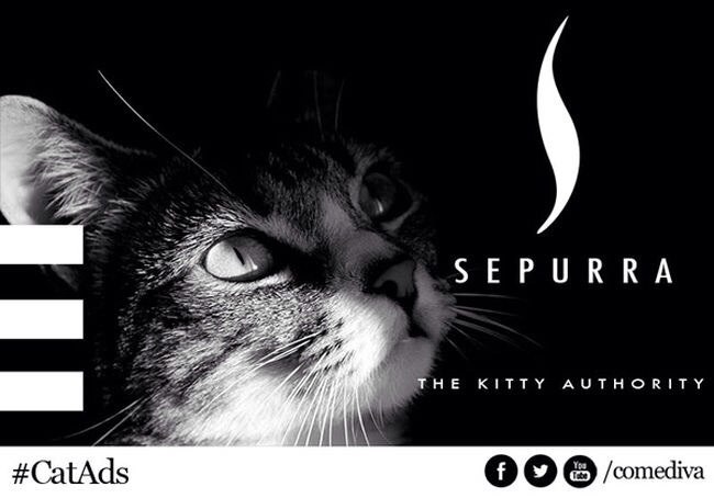    .    ,   Comediva  ... - 7