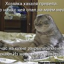 ���� �����, ������, 50 ��� - ��������� 12 ������ 2014 � ������ ������ ��������