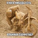 ���� ������, �������, 37 ��� - ��������� 1 ������� 2014 � ������ ���� ����������