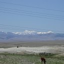 ���� ������, ����������, 43 ���� - ��������� 15 ������ 2014 � ������ ������� �����