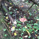 ���������� ������� �� ������� �������-�����