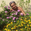 ���� �������, ������, 51 ��� - ��������� 5 ���� 2014 � ������ ���� ����������