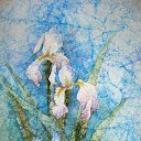 �������� �� ������� �� ����������