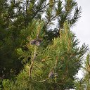 ���� ������, �������, 56 ��� - ��������� 29 ���� 2014 � ������ ���� ����������