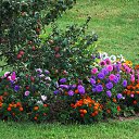 ������ 2014 �� ������� �"...�� ������ ������..."�