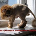 ���� ���� �-238, ������ - ��������� 2 ������� 2014 � ������ ������ ��������