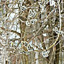 ���� ������� �., ����� - ��������� 5 ������ 2014 � ������ ������