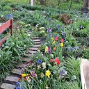 ���� ����������, ����������� - ��������� 24 ������ 2014 � ������ ������ 2014 ��Ļ