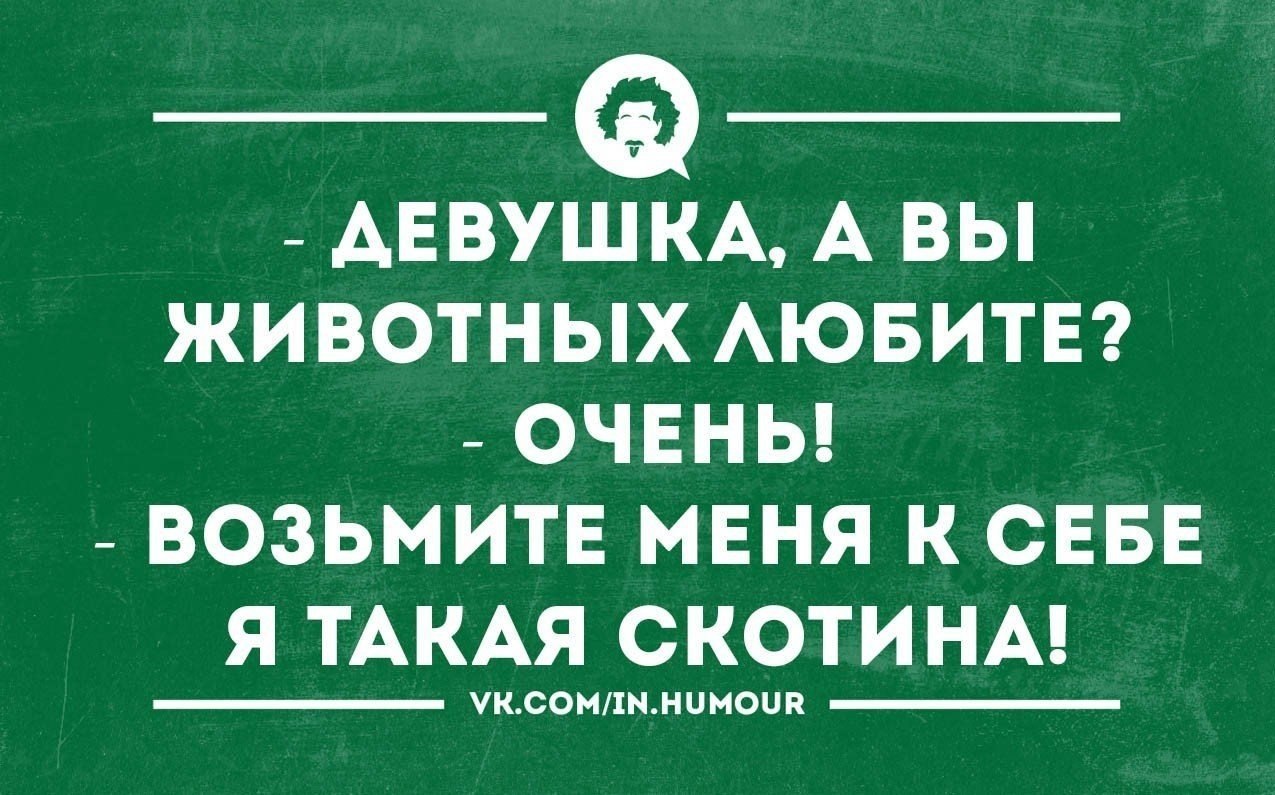 Взяла очень. Девушка вы животных любите я такая скотина. Девушка вы животных любите. Девушка вы животных любите возьмите меня. Возьмите меня я та ая скотина.