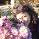 ���� �����, �������� - ��������� 20 ��� 2014 � ������ ���� ����������