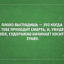 ���� �����, ������, 49 ��� - ��������� 6 ���� 2014 � ������ ������ ��������