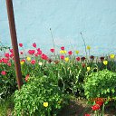 ���� ���������, ������, 55 ��� - ��������� 15 ��� 2014 � ������ ���� ����������