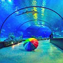 ���� Vadim Ustimenkov, �����, 48 ��� - ��������� 28 ���� 2014 � ������ ��� ���� ����� 2013�