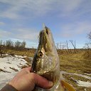 ���� �������, ������, 52 ���� - ��������� 21 ������ 2014