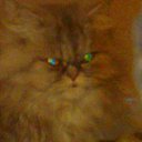 ���� Grigol, �������, 65 ��� - ��������� 29 ��� 2014 � ������ ���� ����������