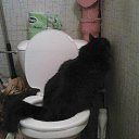  ., , 57  -  24  2014    