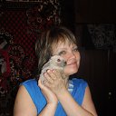 ���� ������, ��������� - ��������� 20 ������ 2014 � ������ ���� ����������