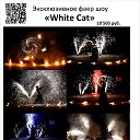 ���� �������, �����, 40 ��� - ��������� 9 ������ 2014 � ������ ������ ��������