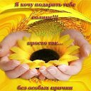���� ������, ����� - ��������� 4 ��� 2014 � ������ ������ ��������