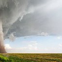 ���� �*�**�, �����, 86 ��� - ��������� 31 ��� 2014 � ������ ������ ������